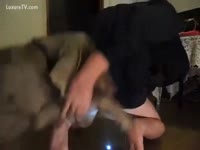 Teen got pounded from behind by dog xxx